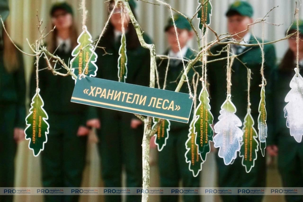 В средней школе №1 г. Скиделя имени В.Г. Пешко открыли школьное лесничество &laquo;Хранители леса&raquo;